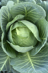 Similar image 21680639