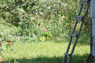 Similar image 21682710