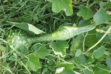 Similar image 21682711