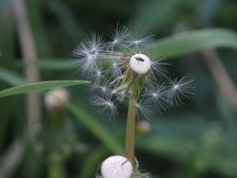 Similar image 21682714