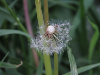 Similar image 21682715