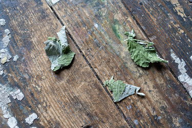 Similar image 21680642