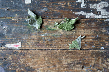 Similar image 21680643