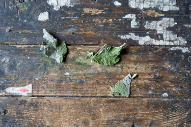 Similar image 21680644