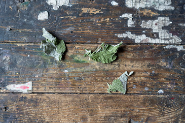 Similar image 21680645