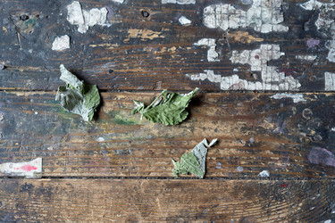 Similar image 21680646