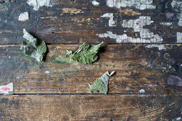 Similar image 21680647