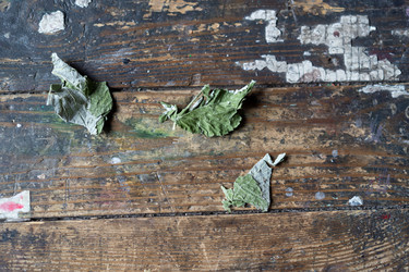 Similar image 21680648