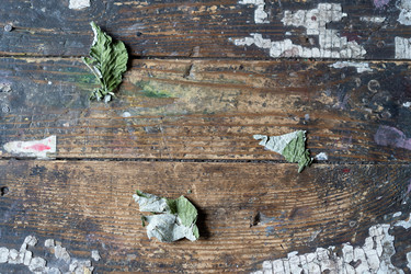 Similar image 21680649