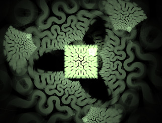 Similar image 21681404