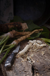 Similar image 21680654