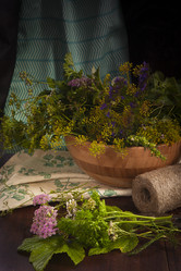 Similar image 21680655