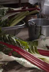 Similar image 21680659