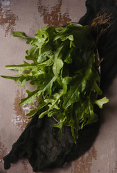 Similar image 21680666