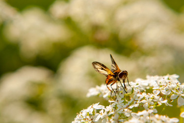 Similar image 21680672