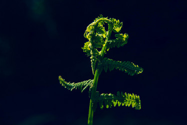 Similar image 21680673