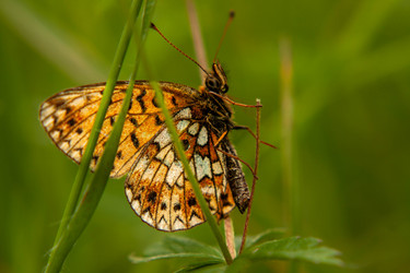 Similar image 21680674