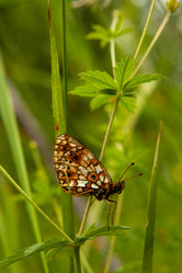 Similar image 21680675