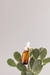 Similar image 21680319