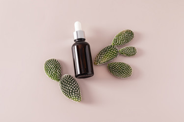 Similar image 21680320