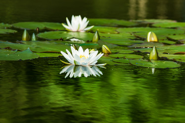 Similar image 21682883