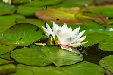 Similar image 21682964