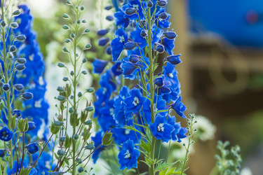 Similar image 21682965