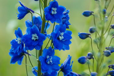 Similar image 21682966