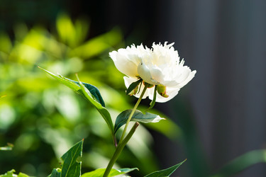 Similar image 21682968