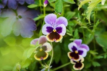 Similar image 21682970