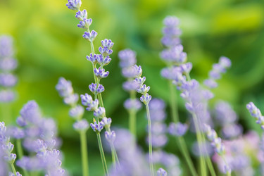 Similar image 21682971