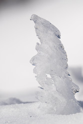 Similar image 21682359