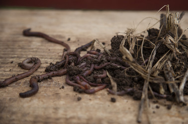 Similar image 21680689