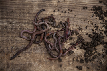 Similar image 21680690