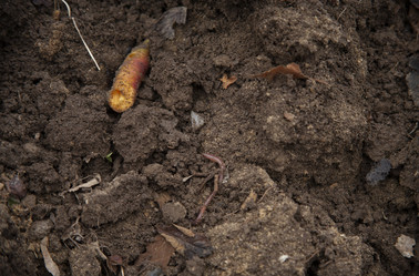 Similar image 21680691