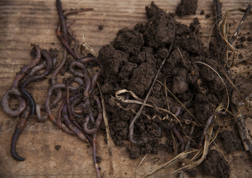 Similar image 21680692