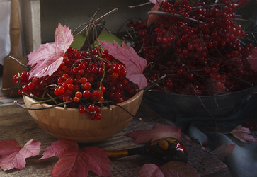 Similar image 21680694