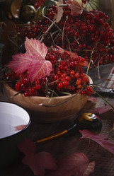 Similar image 21680695