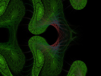 Similar image 21682455