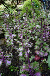 Similar image 21682194