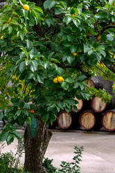 Similar image 21681982