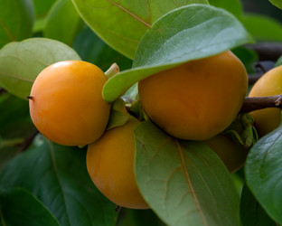 Similar image 21681983