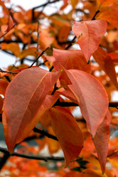 Similar image 21681984