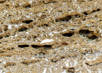 Similar image 21681987