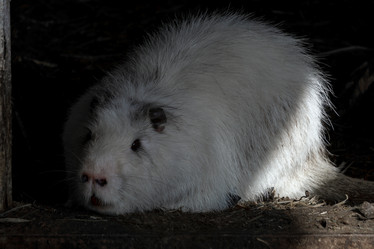 Similar image 21681988