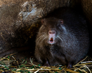 Similar image 21681989