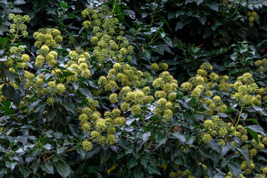 Similar image 21681990