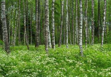 Similar image 21681849