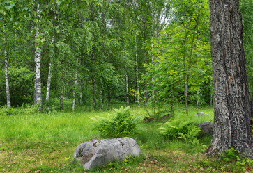 Similar image 21681850