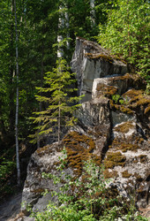 Similar image 21681851